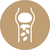 Fatty deposits icon
