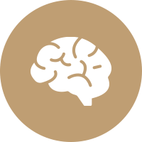 Arteries to the brain icon