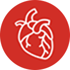 Cardiology & Electrophysiology