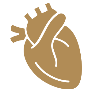 Cardiothoracic Surgery