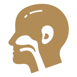 Ear, Nose, Throat, Head & Neck Surgery