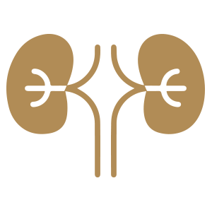 Nephrology