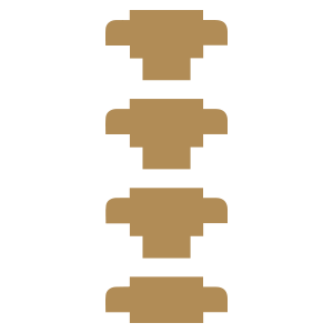 Spine Surgery