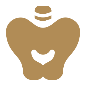 Urogynecology